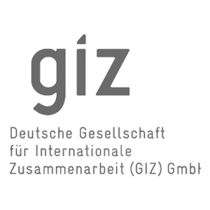 Giz